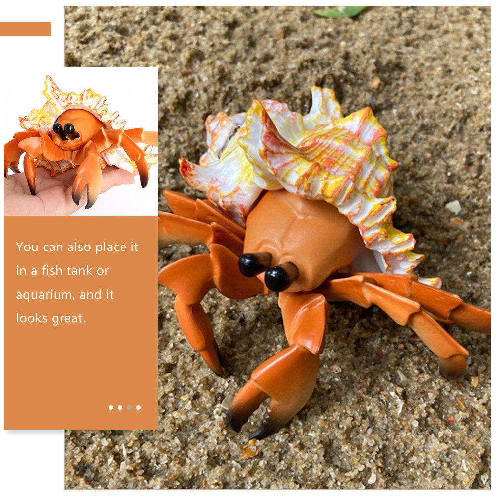 Simulation Hermit Crab Artific - Marine Aquarium Europe ulasan dan harga