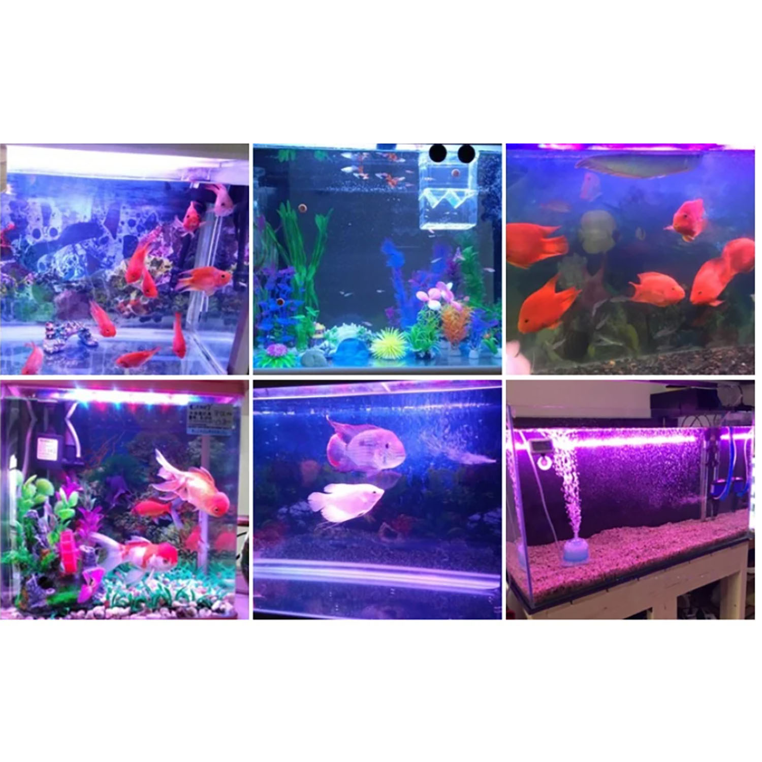 50W 60W 70W 100W RGB 26-28V Hi - Marine Aquarium Uv ulasan dan harga