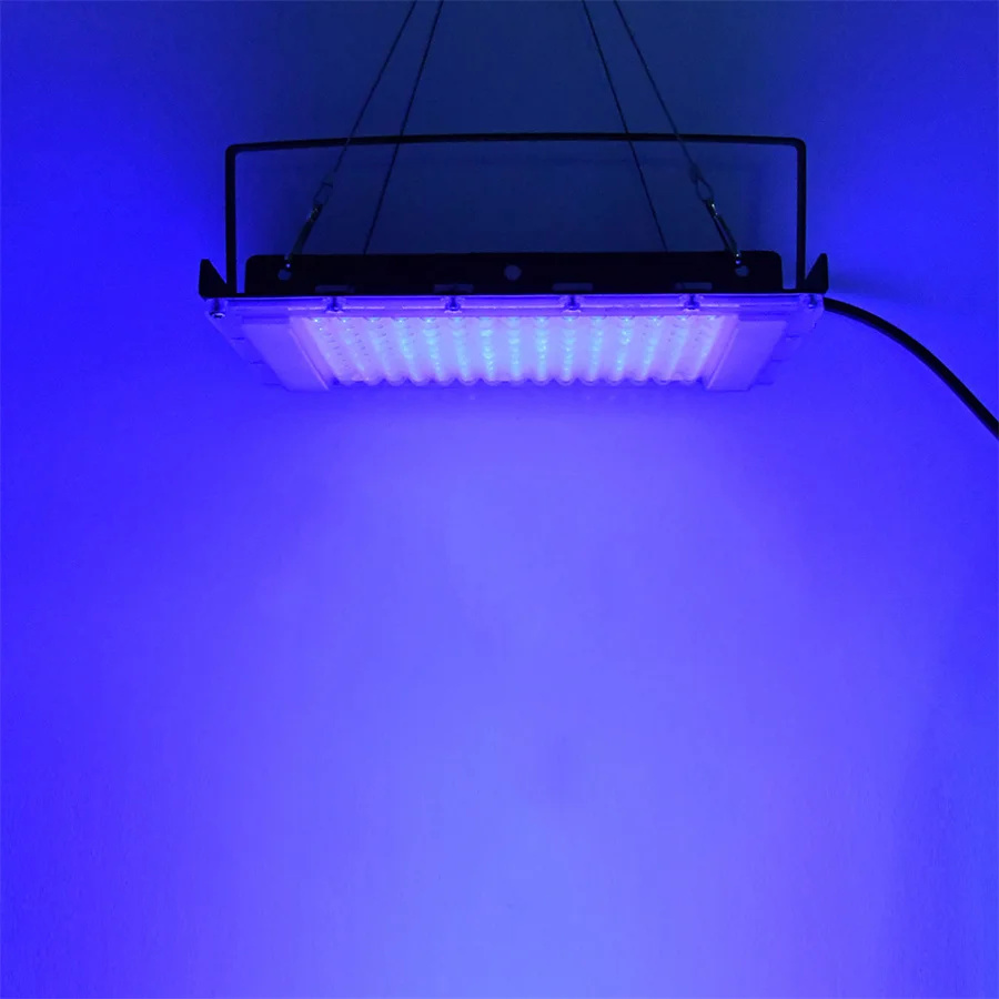 300W UV 395nm Black Light Ultr - Marine Aquarium Uv ulasan dan harga